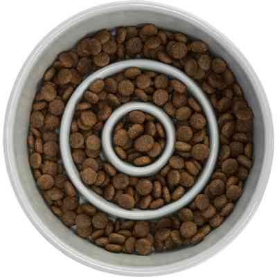 Посуда для собак Trixie Миска для медленного кормления 450 мл/14 см (серая/голубая) (4011905245201) Винница