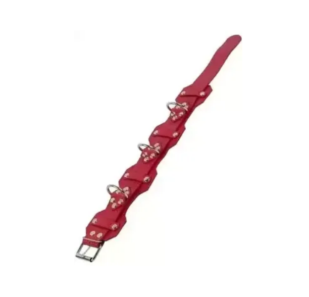 Ошейник VIP Leather Collar, RED Sex Aura Киев - изображение 3