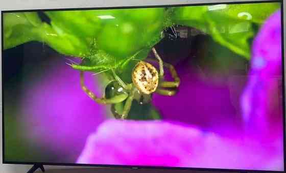 Телевізор Безрамний Samsung 45" 4K Smart TV T2 Київ