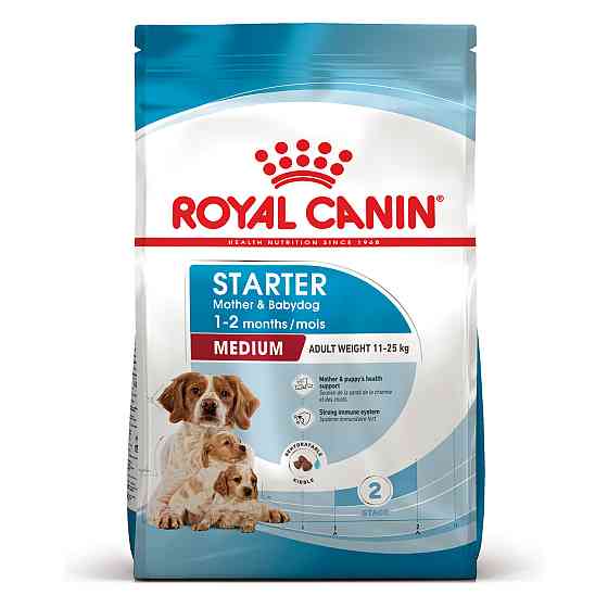 Royal Canin Medium Starter (Рояв Канін Медіум Стартер Мазер Бебідог) корм для вагітних собак 11-25 кг 1 кг. Запоріжжя