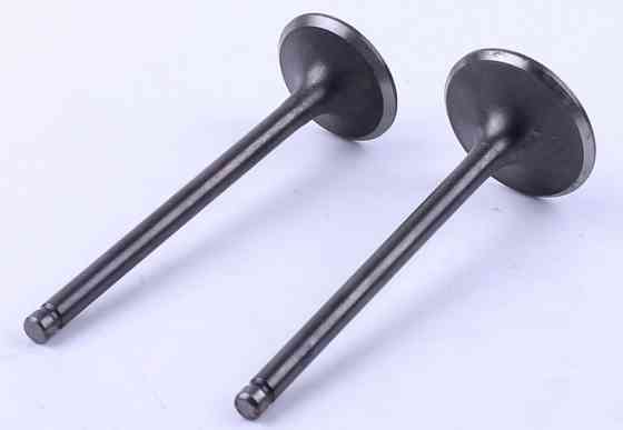 Клапаны (пара, голые) 4T CG200 (ZB) Мукачево