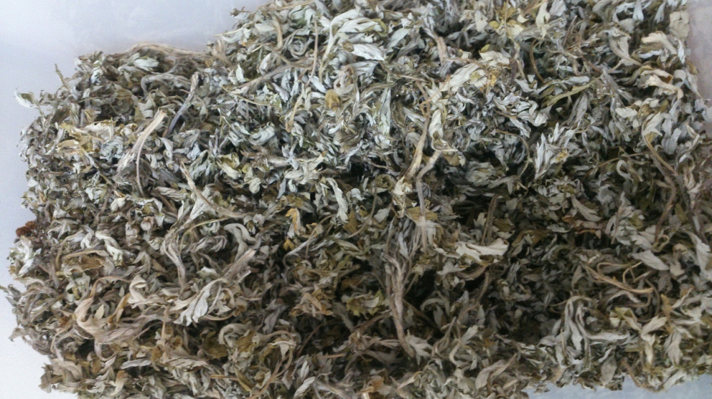 Полин гіркий (Полынь горькая) 100г master sem Киев - изображение 3