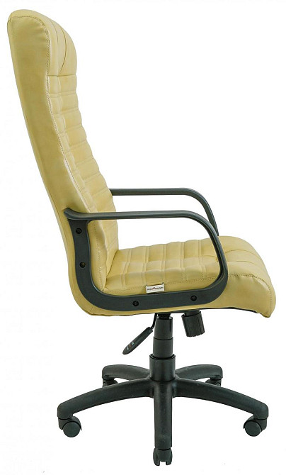 Офісне Крісло Керівника Richman Atlant Titan Vanilla Пластік М2 AnyFix Бежевий Київ - фото 3