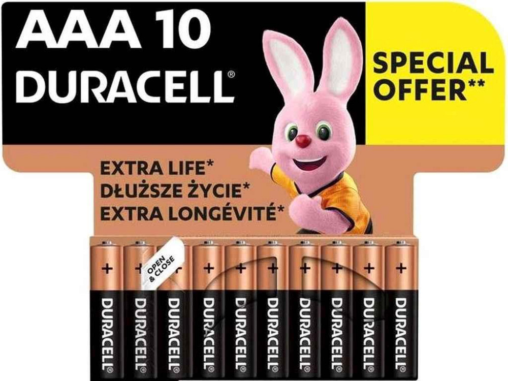 Батарейка лужна LR03/AAA Basic 1.5V 10 шт. 52557 ТМ DURACELL Киев - изображение 1