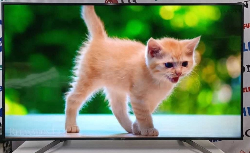 Телевизор Безрамный: 65