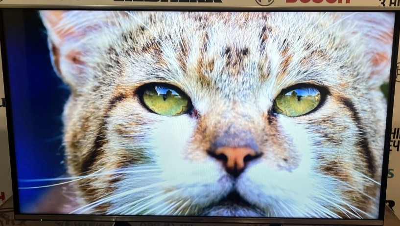 Телевизор Panasonic 50 