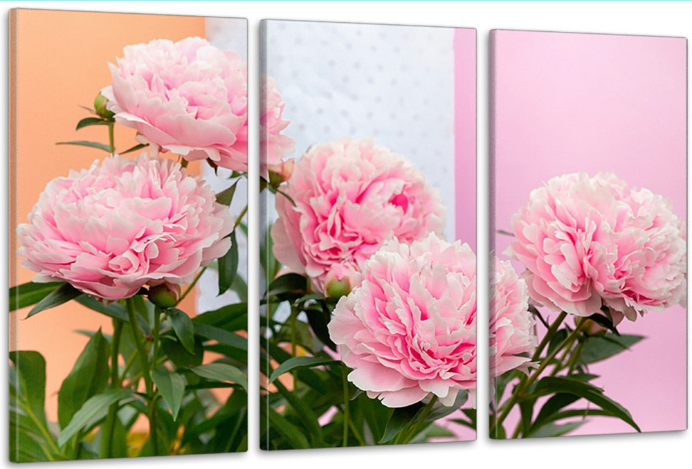 Модульна картина у вітальню/ спальню  Рожеві піони  ART-243_3A 70х130 см Київ - фото 1
