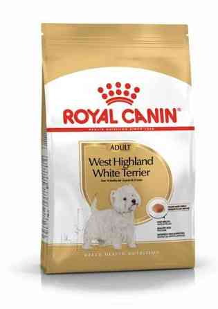 Royal Canin West Highland White Terrier Adult (Рояв Канін Вест Гайленд Уайт Тер’єр Едалт) корм для собак 3 кг. Запоріжжя