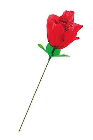 Кружевные трусики в виде розы Fun Novelties Rose You Red Sex Aura Киев