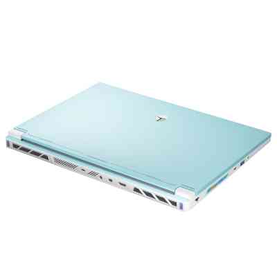 Ноутбук Thunderobot RS16 (RS16-I9139HX56E1Q240ARC) Вінниця