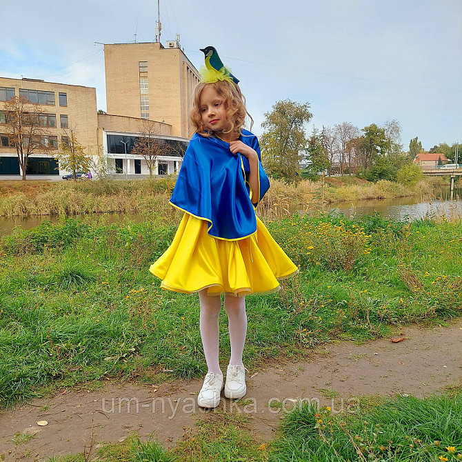 Обруч синички Синичка Кривий Ріг - фото 8