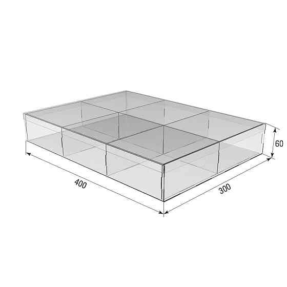 Коробка акриловая EKOSTAR 400х300х60 6 ячеек с крышкой Киев