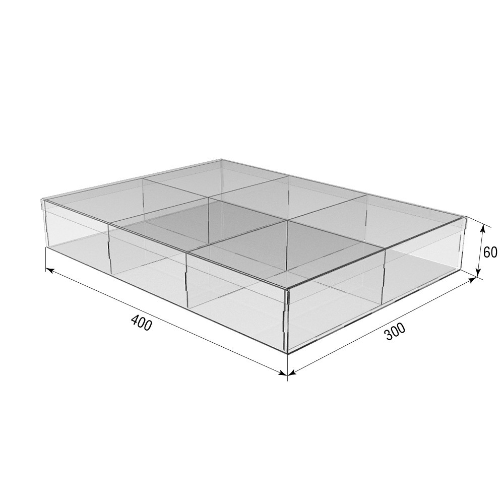 Коробка акриловая EKOSTAR 400х300х60 6 ячеек с крышкой Киев - изображение 3