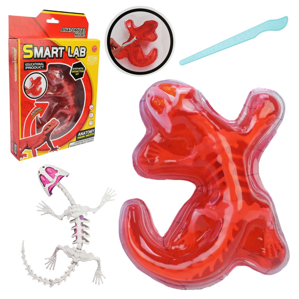 Детский лабораторный набор Ящерица 803B, скелет, внутренние органы Винница - изображение 1