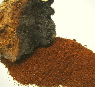 Чага / Березовый гриб (измельченный), 1кг. MasterSEM Киев - изображение 1