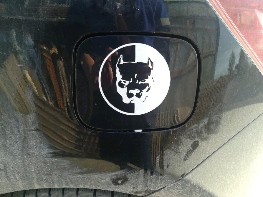 Наклейка на авто Питбуль большая Белая светоотража Киев - изображение 6