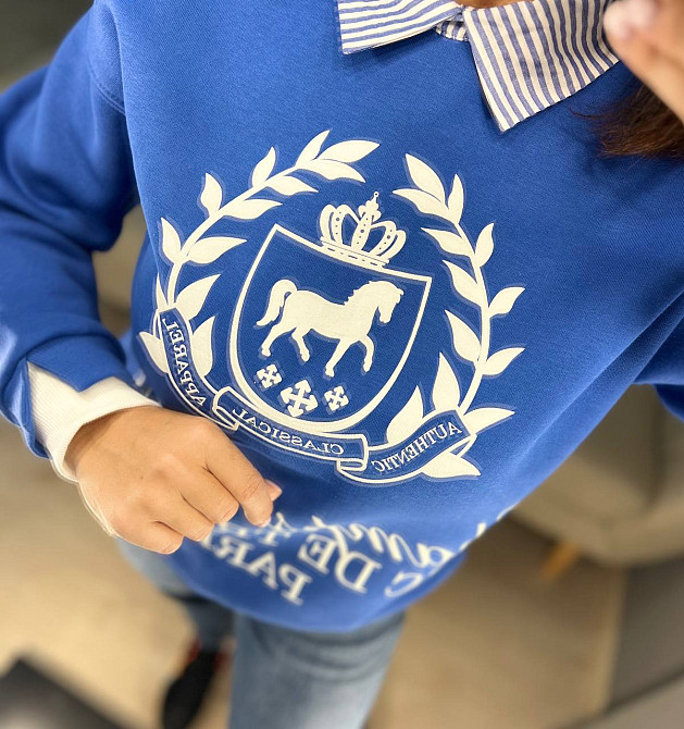 Свитшот женский OLIVIA 2473 с воротником и рисунком впереди утепленный на флисе one size, синий, one size Киев - изображение 7