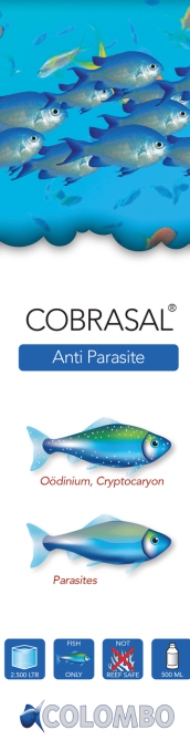 Засіб для лікування риб COLOMBO MARINE COBRASAL 500 ML 2.500 LTR* (N5060620) Київ - фото 1