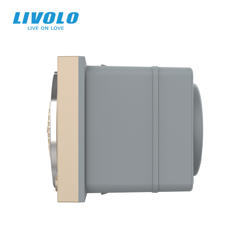 LIVOLO Механізм Bluetooth колонка LIVOLO золото (VL-FCF-2AP) Коломия - фото 3