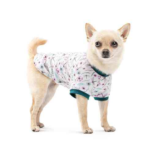 Футболка Pet Fashion Flora для собак бавовна трикотаж біла з квітковим принтом S Київ