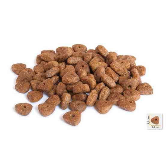 BonaCibo Adult Dog Lamb Rice (Бонасібо Едалт Дог Ягненька Ріс) сухий корм для собак усіх порід 4 кг. Запоріжжя