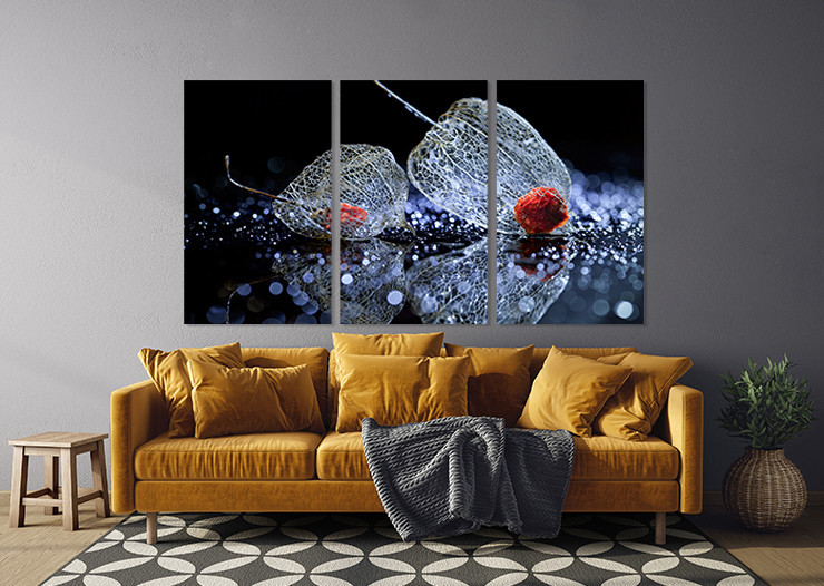 Модульная картина в гостиную / спальню   Фізаліс    ART-304_3A 100х150 см Киев - изображение 3