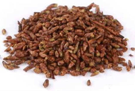 Березовые почки, 100г. MasterSEM Киев - изображение 1