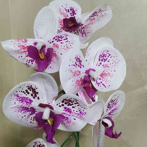 Штучна латексна орхідея VIP у білому керамічному кашпо на одну гілку біло-бузкова Дніпро