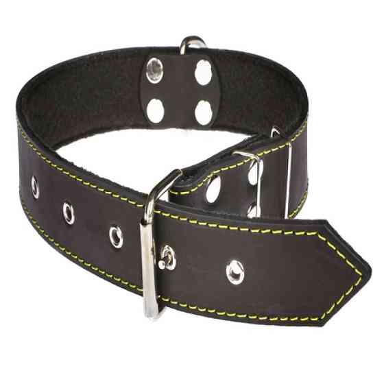 Нашийник 614 40 мм "Класик" шкіра+синтепон Вінниця