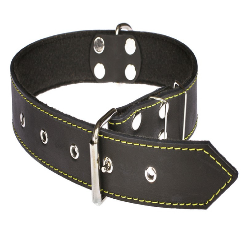 Нашийник 614 40 мм "Класик" шкіра+синтепон Вінниця - фото 1