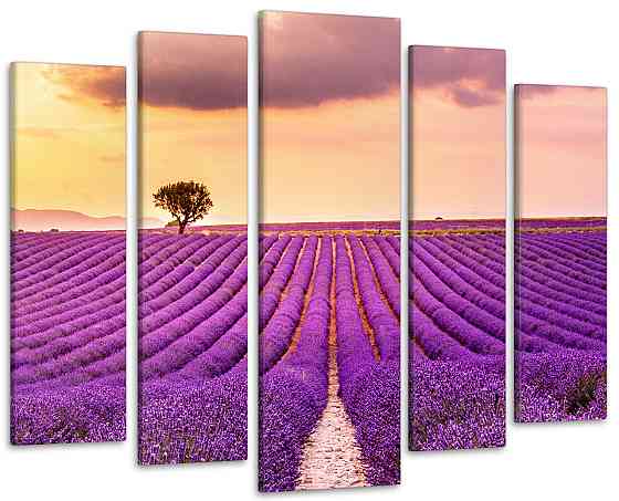 Модульна картина у вітальню / спальню Захід у Полі лаванди Art-402_5 ( 80х118см ) Київ
