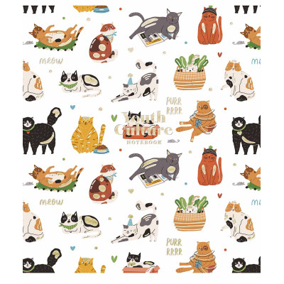 Тетрадь Школярик Young Culture 80 листов линия (080-3152L) Винница - изображение 1