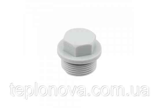 Заглушка с резьбой PPR ø3/4 (Полипропилен)  Raftec RP02 Черновцы