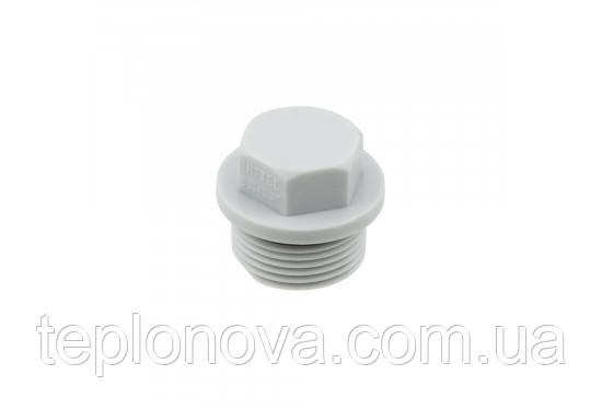 Заглушка с резьбой PPR ø3/4 (Полипропилен)  Raftec RP02 Черновцы - изображение 1