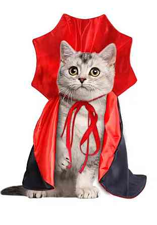 Плащ для собак і котів Вампір Хелловін М чорно-червоний Київ