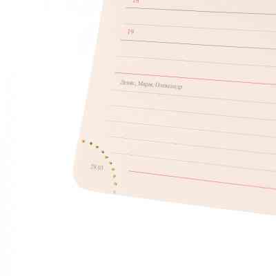 Тижневик Leo planner датований 2025 Identico 12x20 см синій (252512) Вінниця