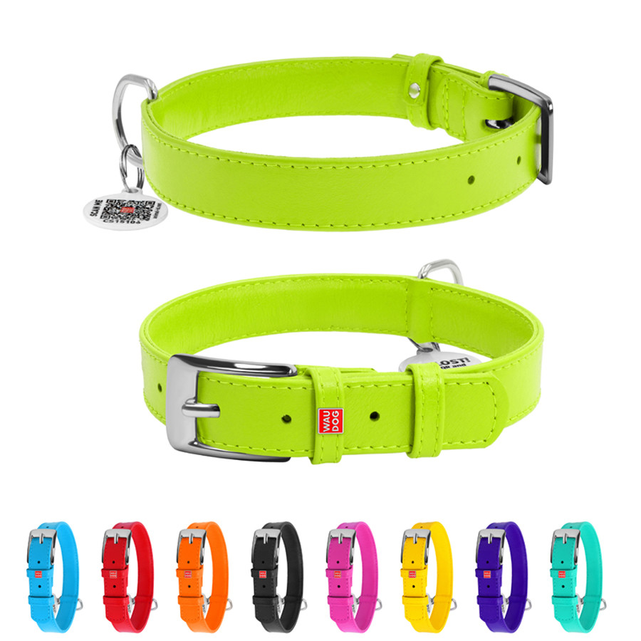 Нашийник для собак шкіряний WAUDOG Glamour з QR паспортом, без прикрас, L, Ш 25 мм, Дов 38-49 с Коломыя - изображение 1