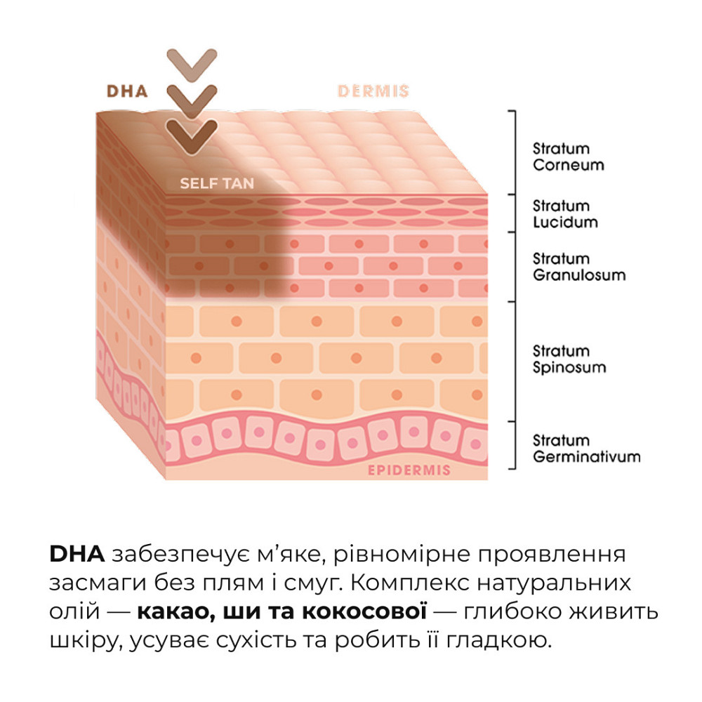 Комплекс для ровного тона кожи и безопасного загара тела Hillary Even Skin Tone & Safe Tan Body Complex Киев - изображение 3