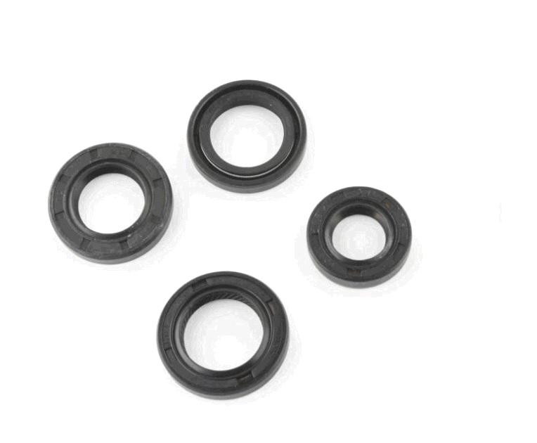 Сальники (набір) Delta, Alpha, Active (4шт) 11.6x24x10, /13.7x24x5, /17x29x5, / 18.9x30x5 FLASH Київ - фото 1