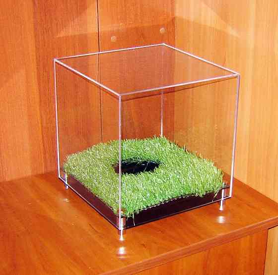 Підставка під м'яч EKOSTAR Київ