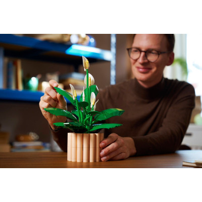 Конструктор LEGO Botanicals Спатифиллум (11504) Винница - изображение 5