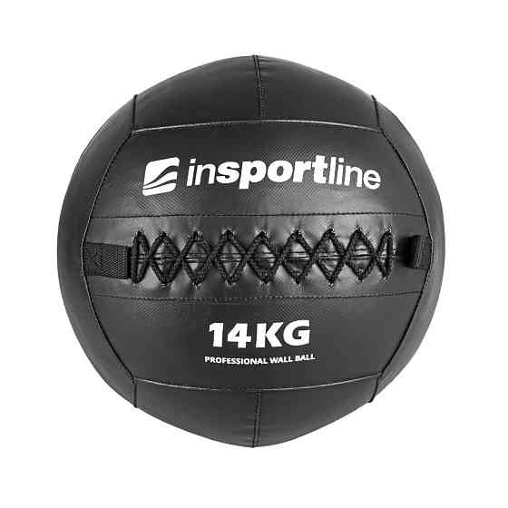Медицинский мяч inSPORTline Walbal SE 14 kg Киев