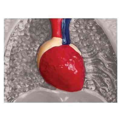 Пазл 4D Master Горила (FM-622012) Винница