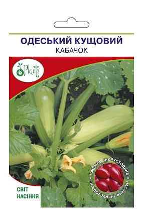 Насіння Кабачків Одеський кущовий Київ