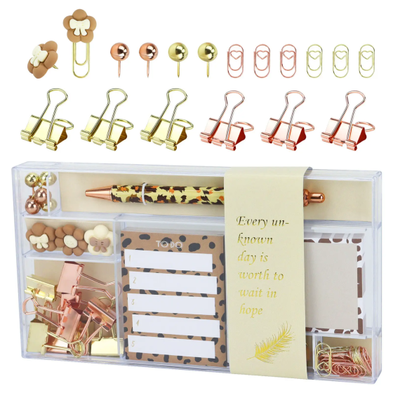 Подарунковий набір канцелярії для навчання і роботи, органайзер, ручка, скріпки і стікери, леопардовий бокс Кам'янець-Подільський