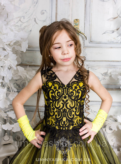 Пышное нарядное платье Камелия на 4-5, 6-7, 8-9 лет Кривой Рог - изображение 4