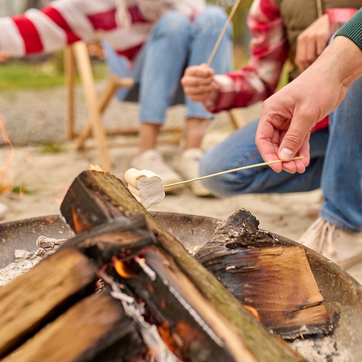 Садовая яма для костра диаметром 60 см с ручками Kaminer (25379) Железо Нововолынск - изображение 10