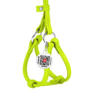 Шлея для собак WAUDOG Glamour з повідцем кругла Д 6 мм А 26-46 см В 30-50 см салатова (34015) Вінниця