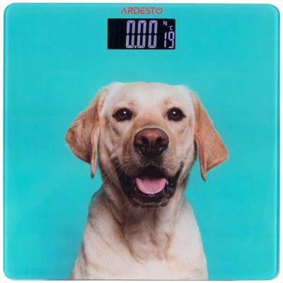 Весы напольные Ardesto SCB-965DOG Винница - изображение 1