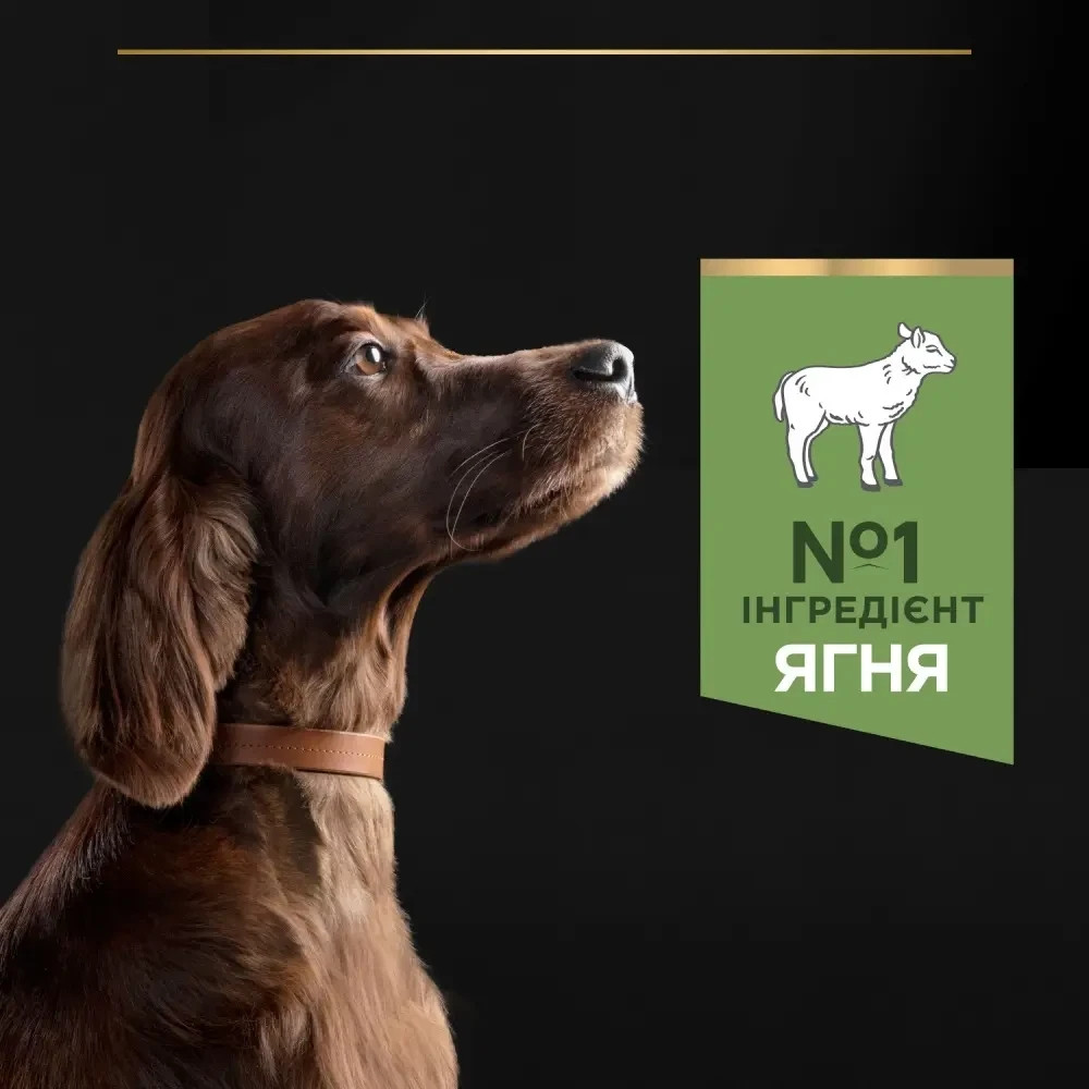 Сухий корм PRO PLAN Large Athletic Adult 2+ Sensitive Digestion для дорослих собак великих порід атлетичної статури, з чутливим травленням, з ягням, 1 Київ - фото 6